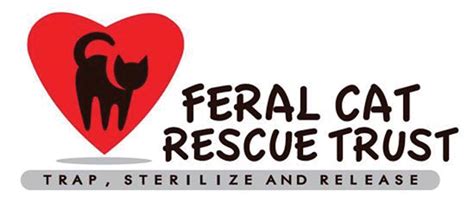 Feral Cat Rescue | The Bugle - Weekly Community Magazine, Tabloid