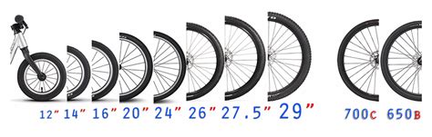 Bicycle Wheel Size Guide (12" to 29")