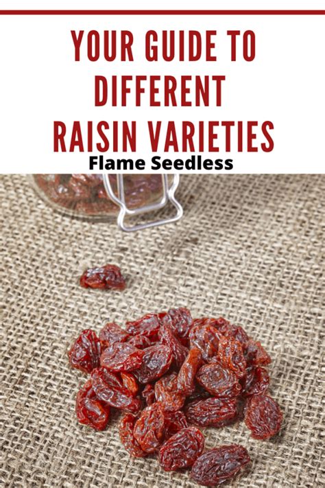 Your Guide to the Different Raisin Varieties • Mom's Memo