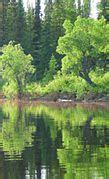 Category:Koyukuk National Wildlife Refuge - Wikimedia Commons