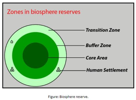 Buffer zone of the biosphere reserve is where(a)No human activity is ...