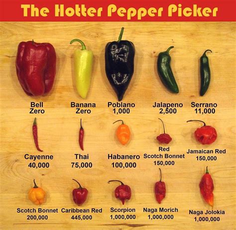 Hot Pepper Scale Chart