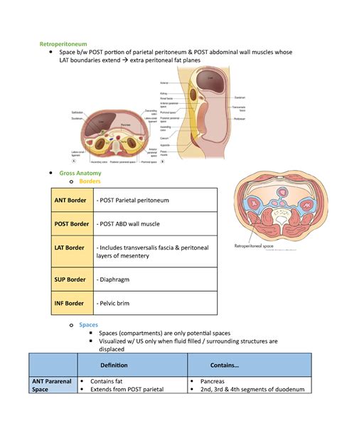 ABD II - Retroperitoneum Anatomy / Pathology - ULTRASOUND ...