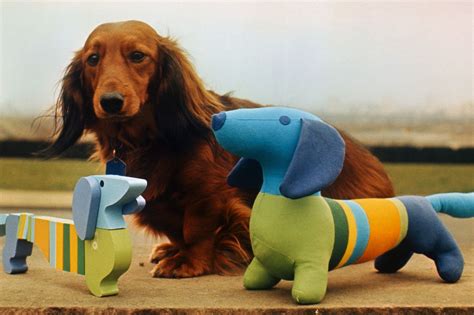 Waldi the Dachshund was the official mascot of the 1972 Summer Olympics ...