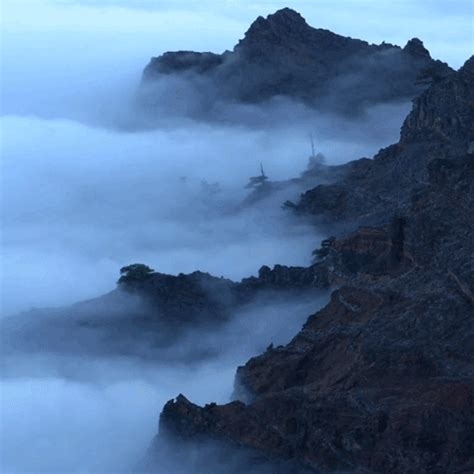 Foggy Mountain Live Wallpaper