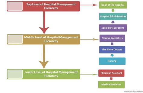 Hospital Management Hierarchy | Hospitality management, Hospital ...