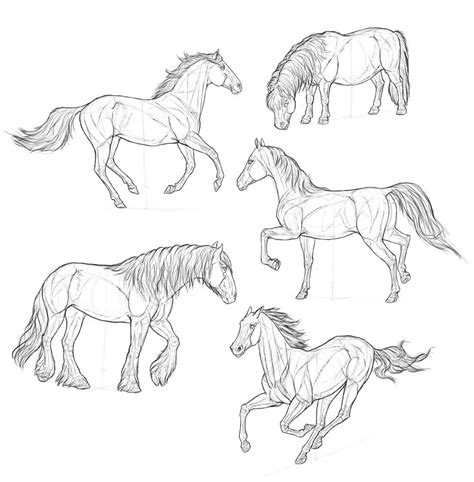 Horse Drawing Reference and Sketches for Artists