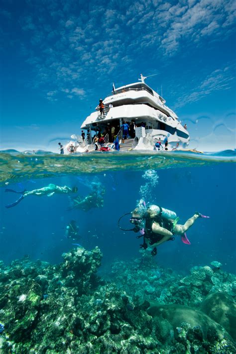 Great Barrier Reef Tours | Cairns Full or Half Day | Upgrade to ...