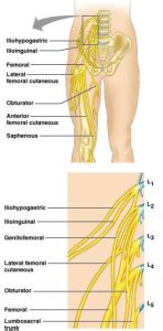 Ilioinguinal Nerve Pain Treatment Doctors in Brooklyn NYC