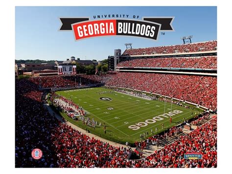 Georgia Bulldogs Stadium 8" x 10"