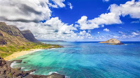 Sea Life Park Hawaii: los mejores autobuses turísticos del 2021 – Las ...