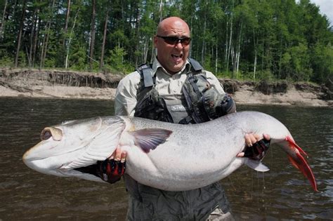 East Siberia Taimen Fishing | Journey Hunts with Matt Guedes