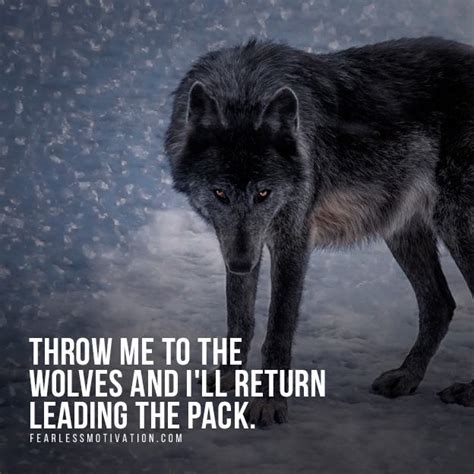 20 Strong Wolf Quotes To Pump You Up | Wolves & Wolfpack Quotes