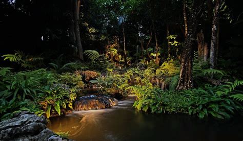 Waterfall in Forest at the Night Stock Image - Image of cascade, jungle ...