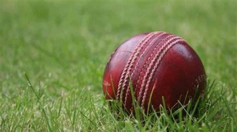 Why are different types of balls used in cricket?