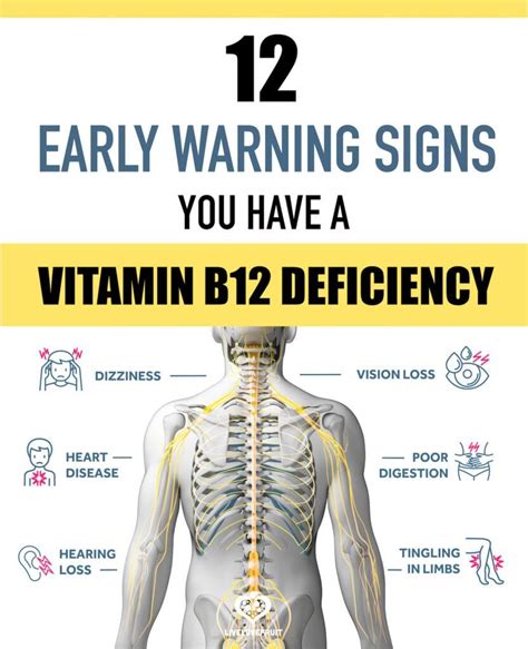 12 Early Warning Signs of a Vitamin B12 Deficiency That Should Never Be ...