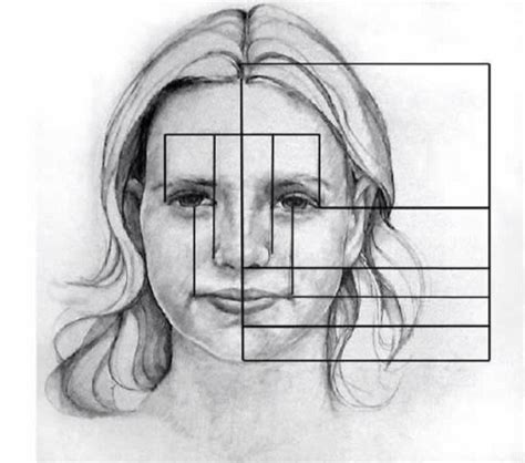 Face dimensions | Portrait drawing, Face drawing, Art lessons