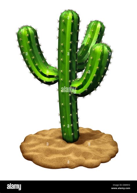 Cactus Plant In Desert