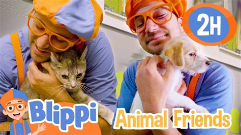 blippi farm - Youtube Kids