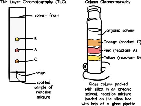 Paper Chromatography Diagram