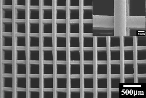 Figure 1 from Bioactive Glass Scaffolds for Bone Tissue Engineering ...