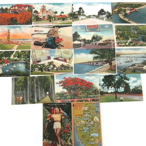 Florida Postcard - Etsy