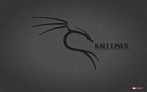 Kali Linux Wallpaper HD - WallpaperSafari