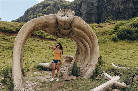 Jurassic Park Hawaii - A Guide to Visiting Kualoa Ranch — ckanani