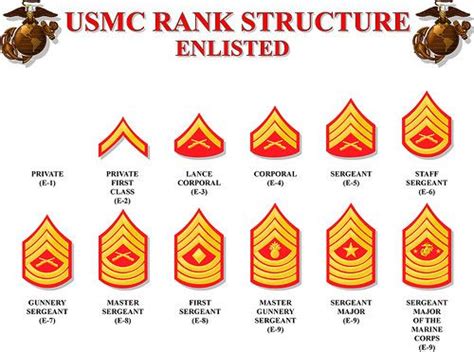 Good to know! | Usmc ranks, Marine corps, Marine corps ranks