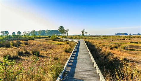 Explore the beautiful national parks of the Netherlands - Holland.com