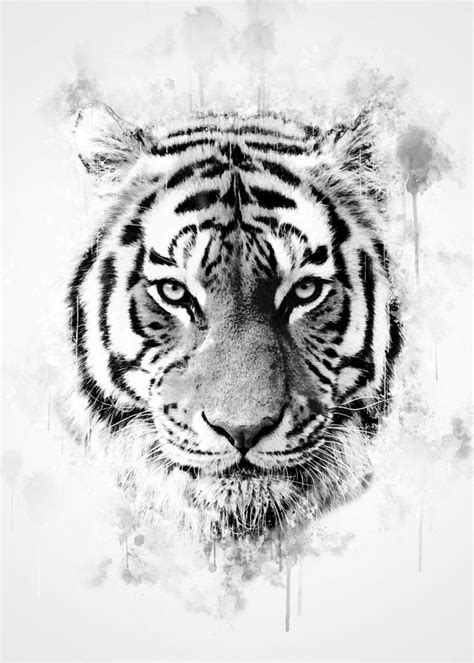 'Tiger Head Black and White' Poster, picture, metal print, paint by ...