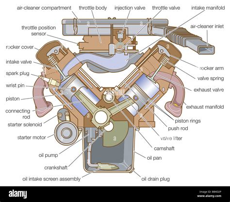 Cross section of a V-type engine Stock Photo - Alamy