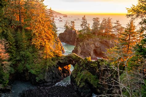 12 EPIC CAMPGROUNDS at the OREGON COAST (Local's Guide)