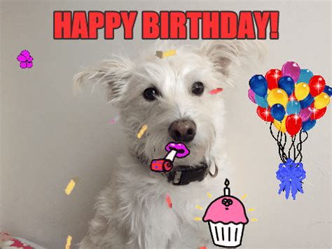 Happy Birthday GIF by chuber channel - Find & Share on GIPHY | Happy ...