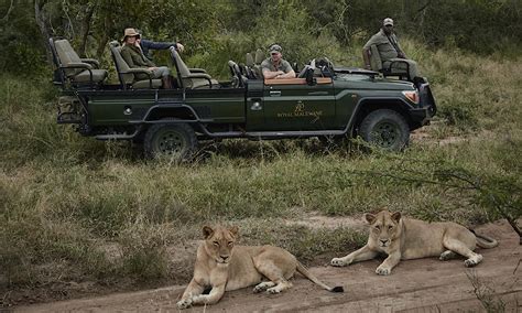 South Africa Safari Tours: Top 10 Guided Tour Packages 2021 | Kabura Travel