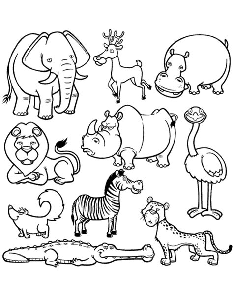 African Animals Coloring Page - Free Printable Coloring Pages