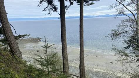 10 Best Trails and Hikes in Comox Valley A | AllTrails