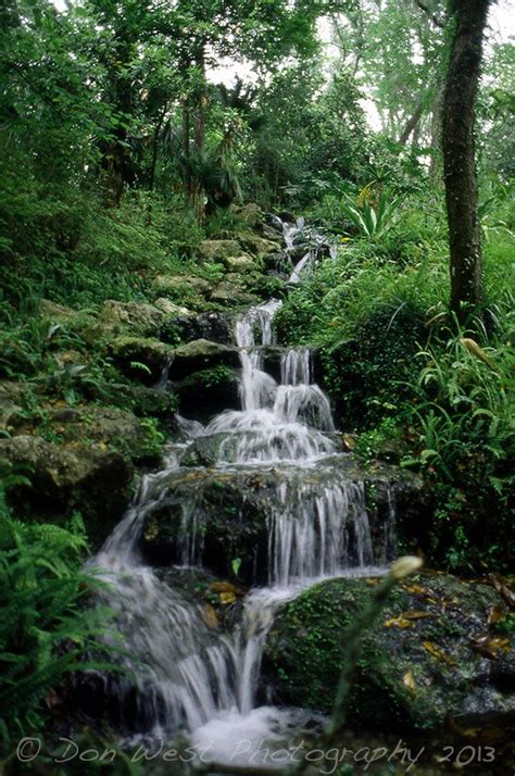 Waterfall - Rainbow Springs State Park Florida | Rainbow springs state ...