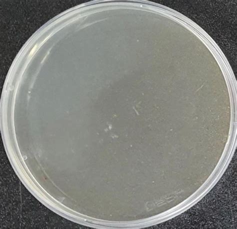 Solved Bacteriophage plaque isolation experiment results. A | Chegg.com