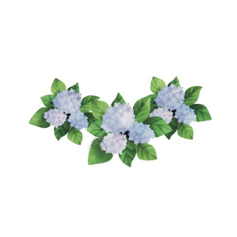 Hydrangea Flowers Illustration, Hydrangea, Flower, Flowers Illustration ...