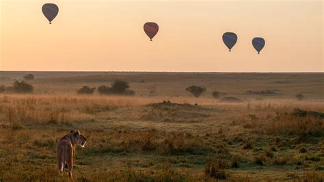 Hot Air Balloon Safari in Masai Mara, Kenya and FAQ