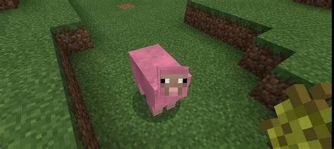 Pink sheep in Minecraft: Everything you need to know