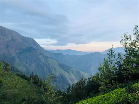 Anamudi Peak • Trek To The Highest Point In South India