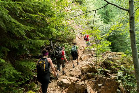 Hiking the Binkert Trail To The Lions