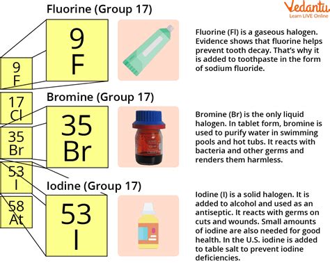 Halogens - Learn Definition, Properties, Facts & Examples