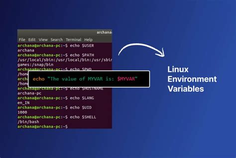 Linux Environment Variables And Complete Setup Guide