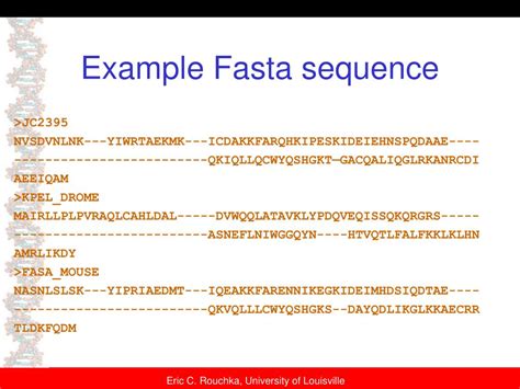 PPT - Sequence Database Searching PowerPoint Presentation, free ...