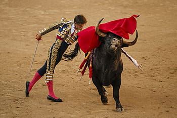 Bullfighting HD wallpapers | Pxfuel