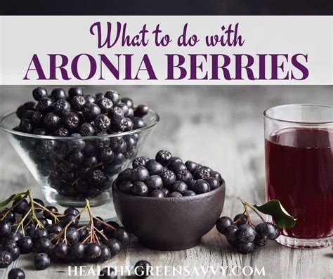 15 Best Aronia Berry Recipes {Tasty Chokeberry Recipes!}