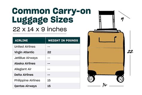 New Carry On Luggage Restrictions 2025 International Flights - Cami Trudie